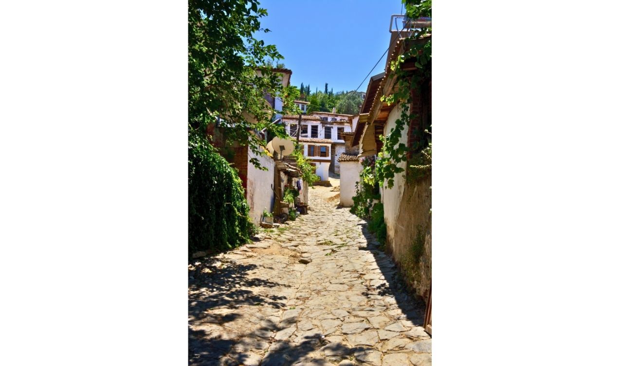 Złoty Szlak-Efez i Pamukkale