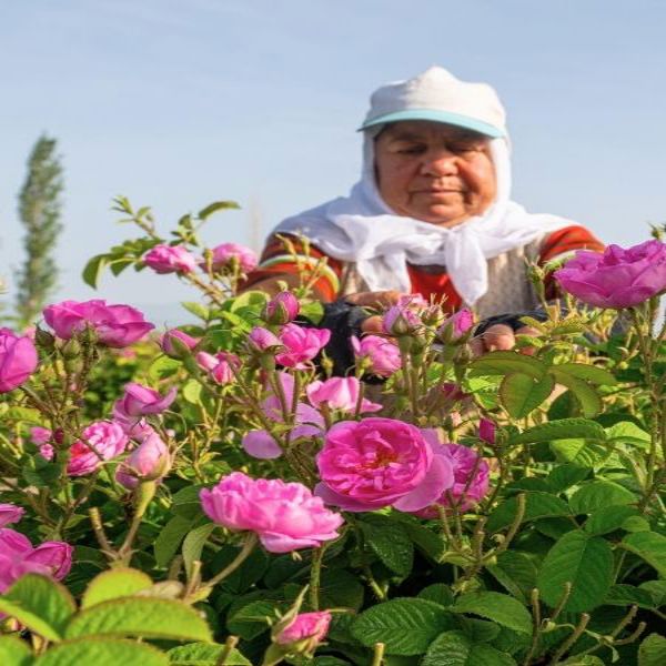 GÜNÜBİRLİK TURLAR